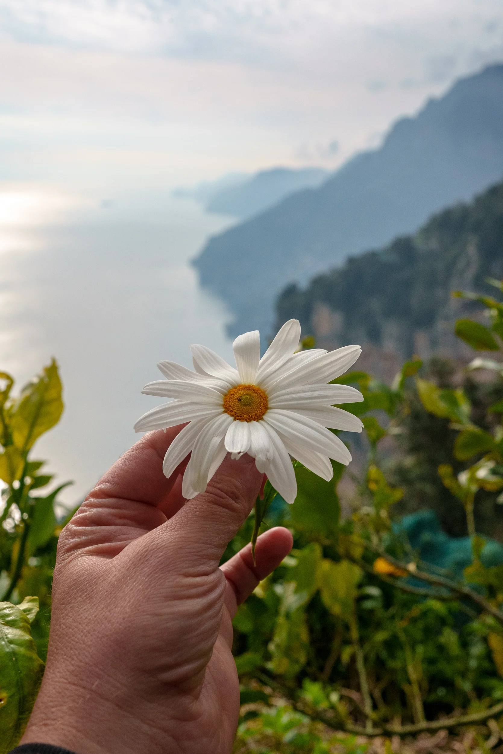 Amalfi Excursion — 10