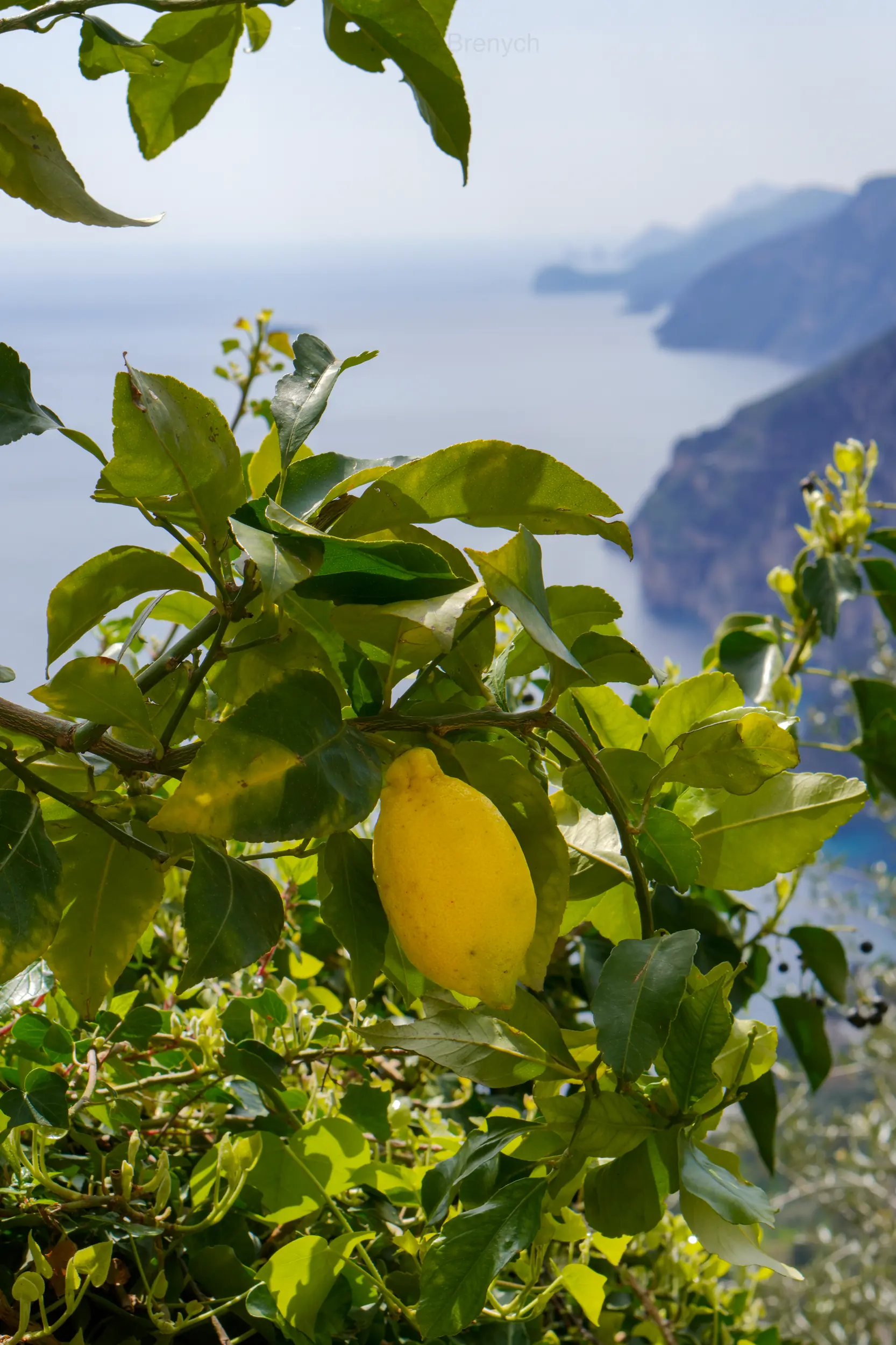 Amalfi Excursion — 16