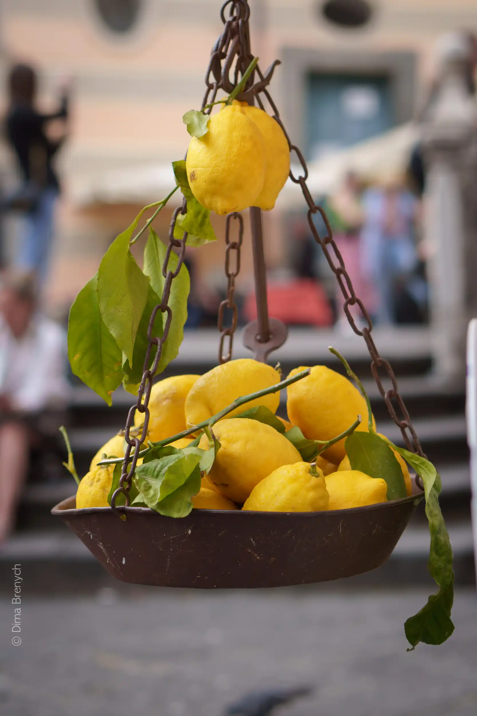 Amalfi Excursion — 24