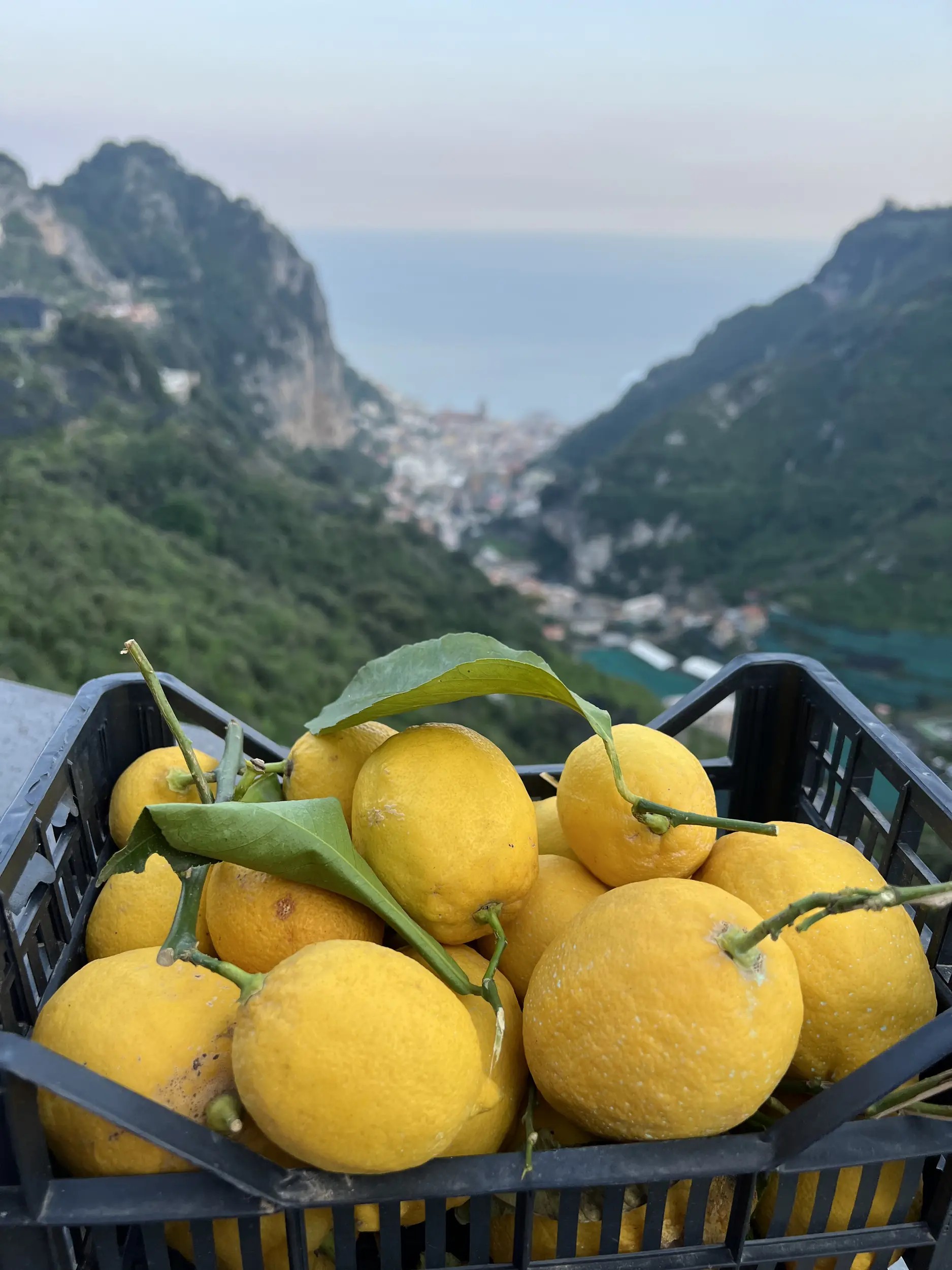 Amalfi Excursion — 44