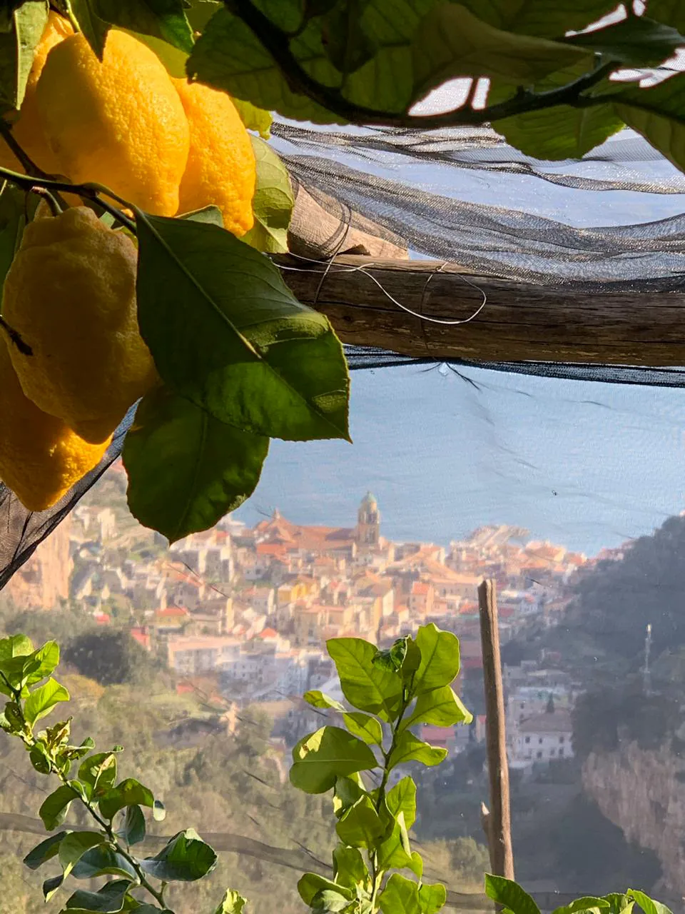 Amalfi Excursion — 54